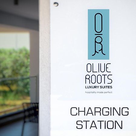 Olive Roots Hotel Skala Rachoni  Exterior foto