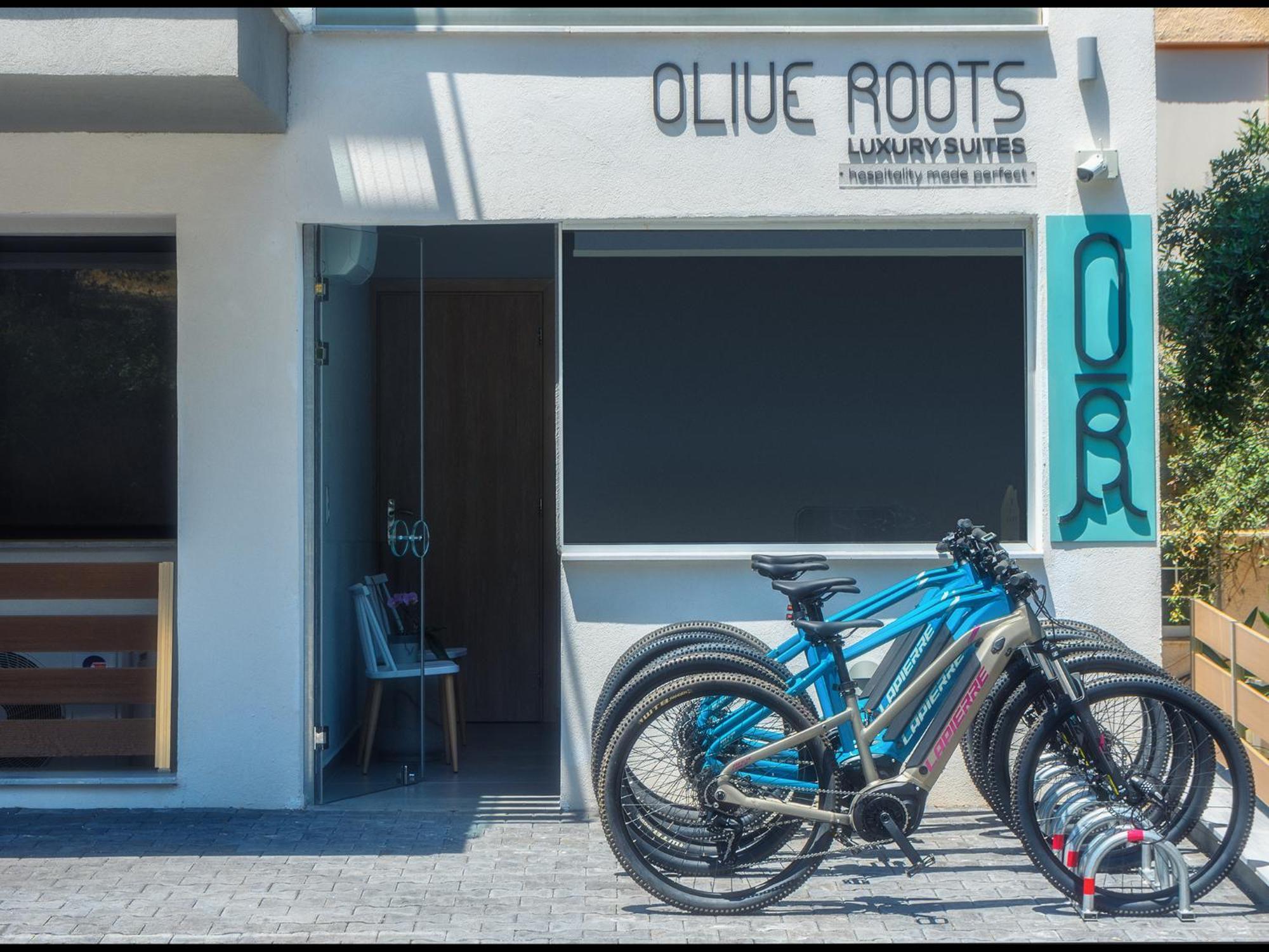 Olive Roots Hotel Skala Rachoni  Exterior foto